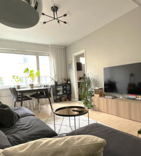 Modern 38 sqm two room flat